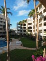 Palm trees in front of the timeshare units