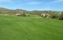 That's a lot of grass