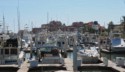 There are lots of boats in the harbor in Cabo San Lucas