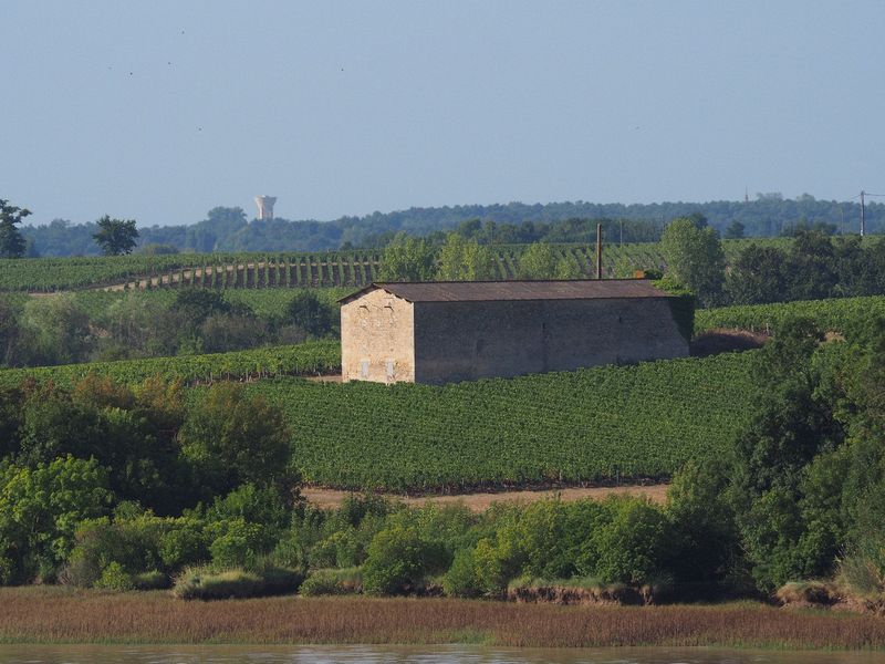 An old stone barn amongst the vineyards