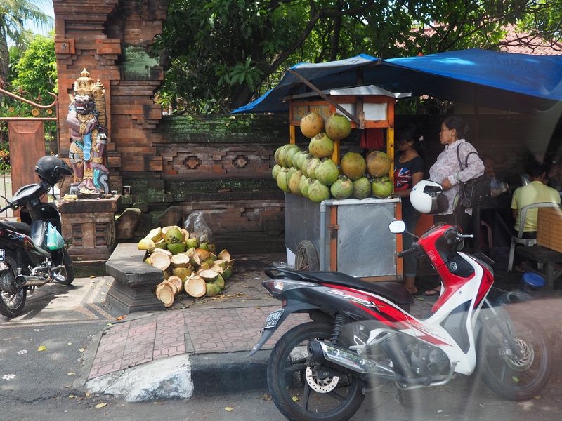 Coconut stand