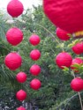 Red lanterns