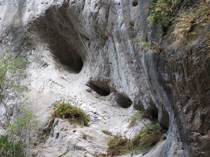 Holes where swallows nest