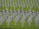 There are a lot of graves