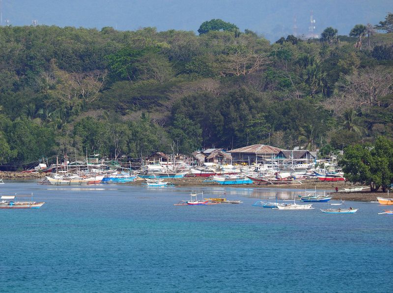 Lots of outrigger fishing boats