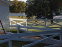 Horse paddock