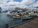 Fishing boats