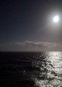 The moon is shining on the water