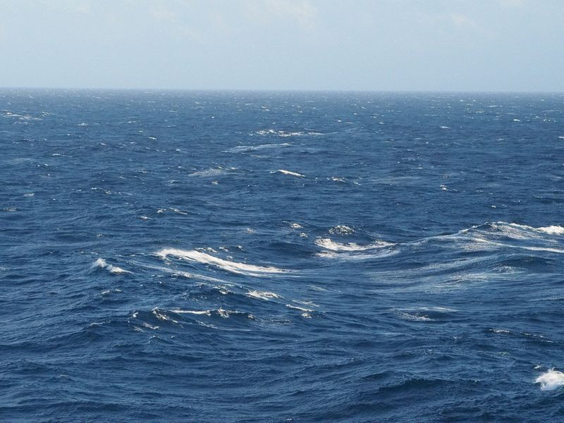 The water is a bit choppy today
