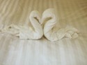 Towel animal 10