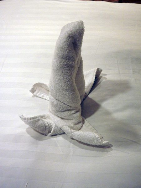 Towel animal 15