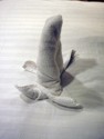 Towel animal 15