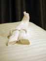 Towel animal 1