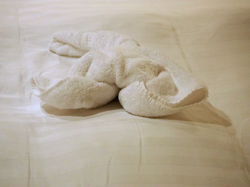 Towel animal 3