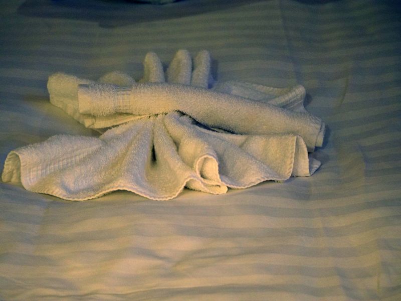 Towel animal 4