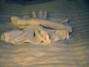 Towel animal 4