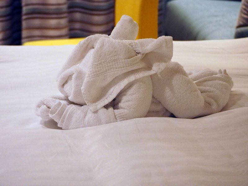 Towel animal 7