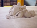 Towel animal 7