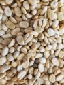 Close-up of dried coffee beans
