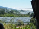 Fields covered with netting