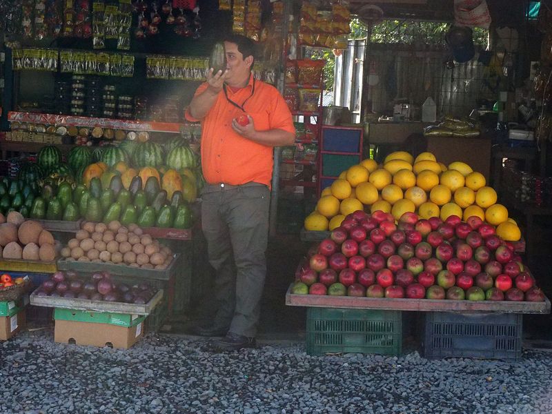 Look at the size of that avocado