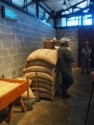 Sacks of dried coffee