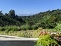 The coffee farm
