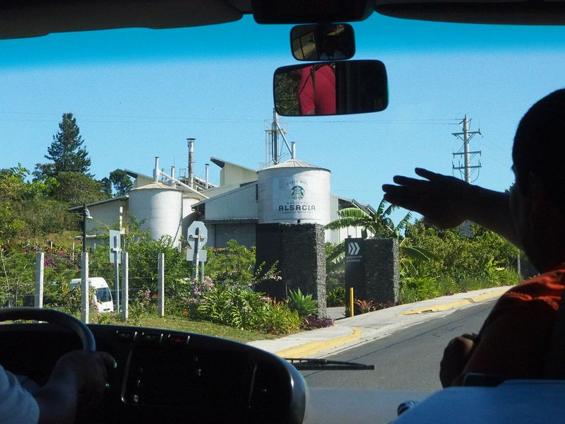 We arrive at Starbuck's only coffee farm
