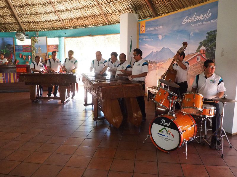 A marimba band welcomes us
