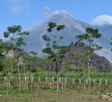 A puff of ash shoots out of this volcano
