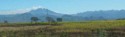 A volcano smolders in the distance