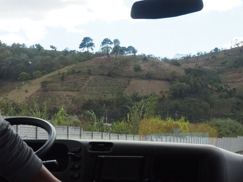Hillside farms