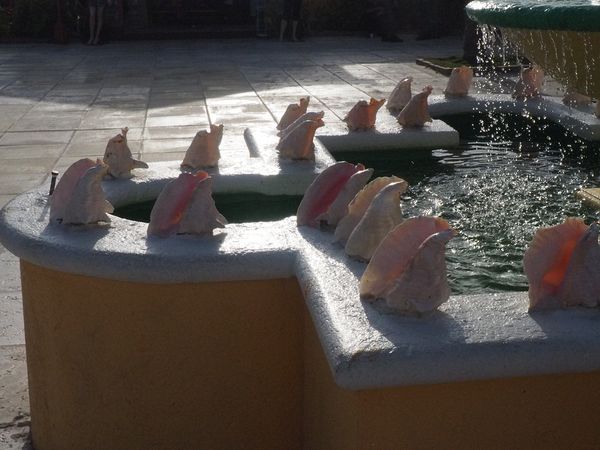 Conch shells decorate the fountain