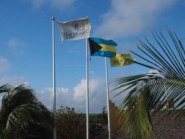 Flags