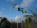 Flags