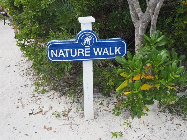 June and I start our nature walk