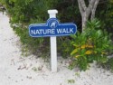 June and I start our nature walk