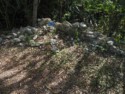 Not much left of thie historical ruin of this late 1700's dwelling