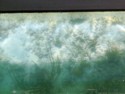 The view through the glass bottom of the boat