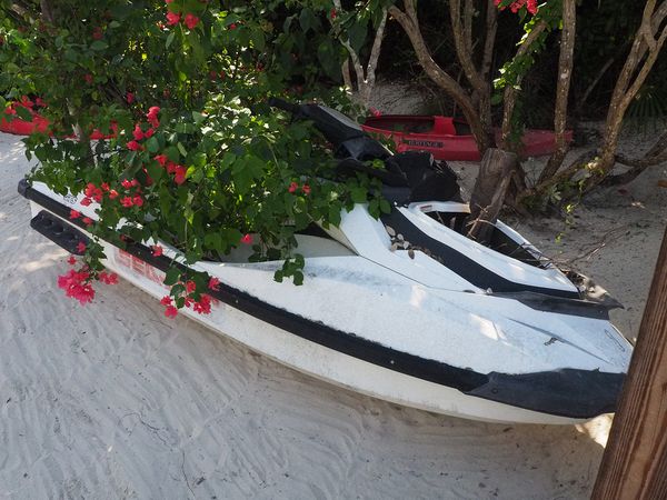 This jet ski is a bit overgrown