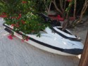 This jet ski is a bit overgrown