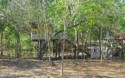 A house on very tall pilings