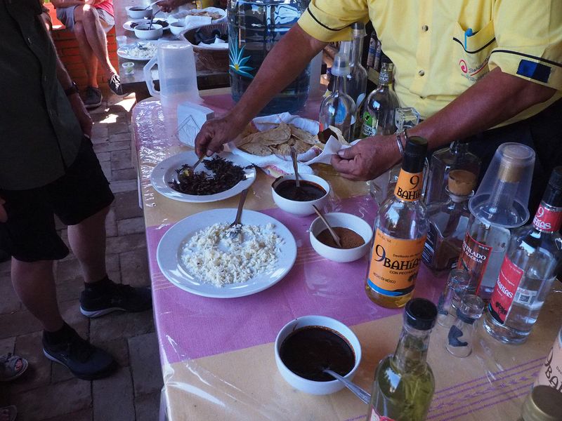 Making a snack of deep fried grasshoppers