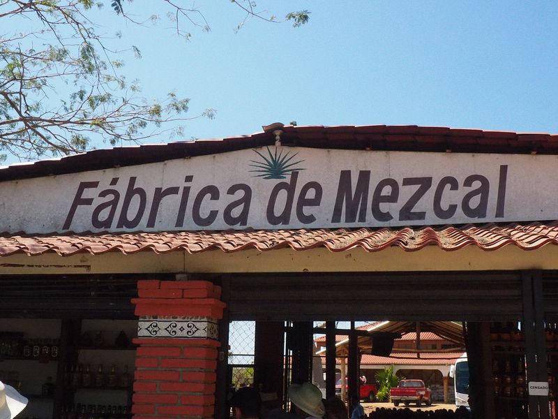We arrive at a mezcal factory