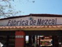 We arrive at a mezcal factory