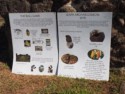 What to see, including a ball court and temples