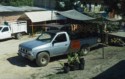 Coconuts and gourds for sale