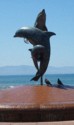 Dolphin fountain