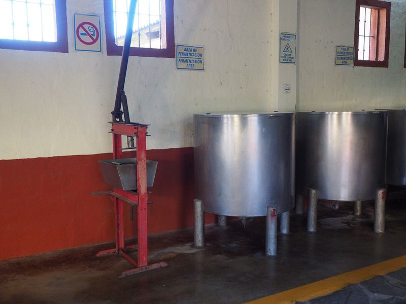 Fermentation vats