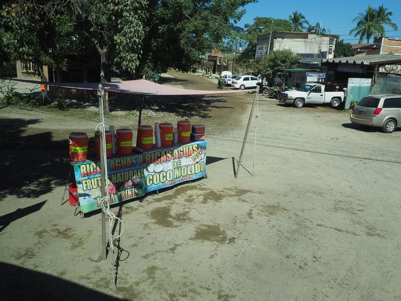 Fruit and coconut drinks for sale